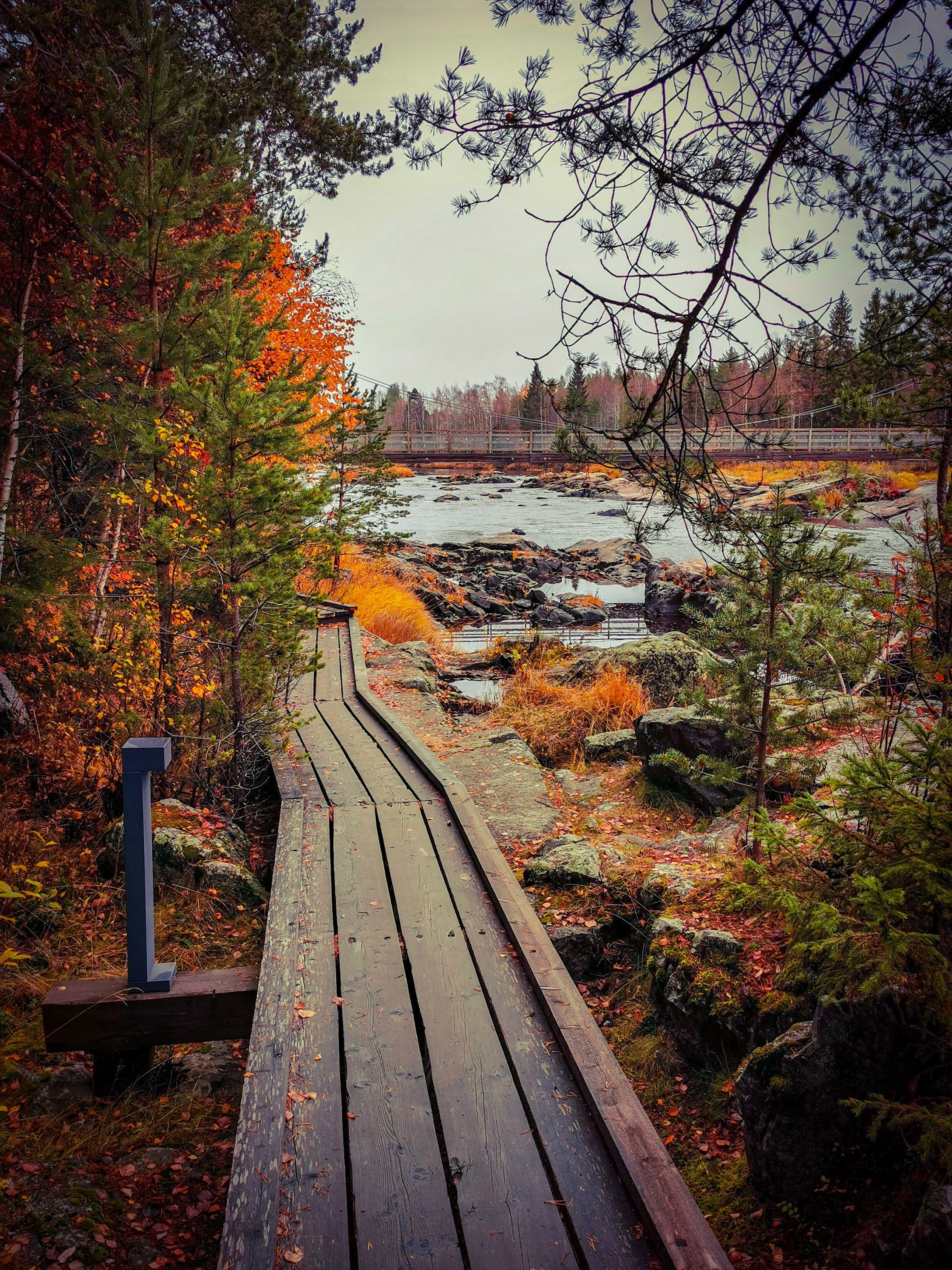 Koitelinkoski Rapids